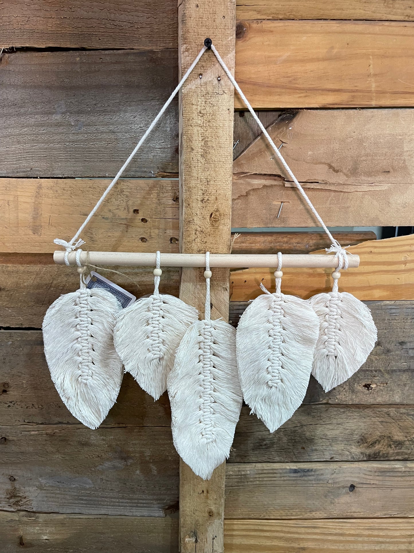 Natural Boho Hanging Feather Grouping